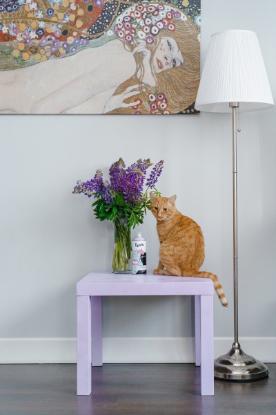 Цвет Коты Прованса Высокодекоративная акриловая краска Fusion (Фьюжн) серии Chartreux (Шартрез)